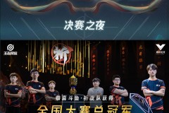 钟无艳游戏攻略：大招释放技巧与被动技能解析